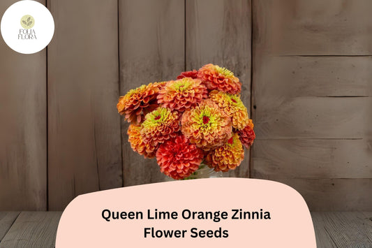 100+ Queen Lime Orange Zinnia Seeds â€“ Peach-Orange Garden Blooms