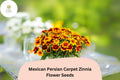 100+ Mexican Persian Carpet Zinnia Seeds â€“ Colorful Dwarf Mix for Garden Beds, Borders & Containers