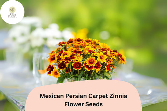 100+ Mexican Persian Carpet Zinnia Seeds â€“ Colorful Dwarf Mix for Garden Beds, Borders & Containers