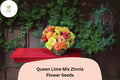 Queen Lime Mix Zinnia Seeds â€“ Red, Peach & Green Garden Blooms