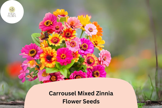 100+ Carrousel Mix Zinnia Seeds â€“ Unique Bi-Color Blooms for Summer Gardens & Cut Flowers