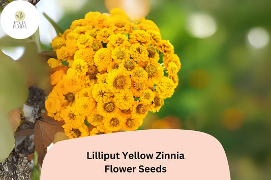 100+ Lilliput Yellow Zinnia Seeds â€“ Charming Small Double Blooms for Borders & Garden Beds