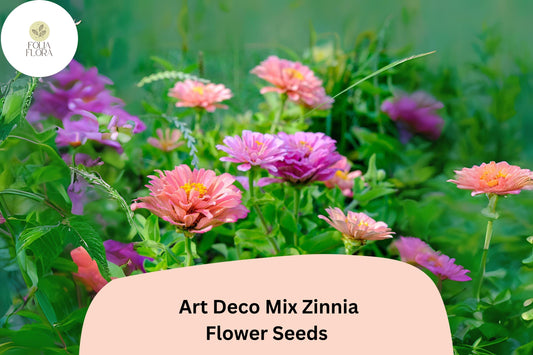 100+ Art Deco Mix Zinnia Seeds â€“ Bold Colorful Blooms for Cottage & Cut Flower Gardens