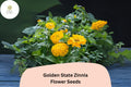 100+ Golden State Zinnia Seeds â€“ Bright Golden Blooms for Pollinator & Summer Flower Gardens