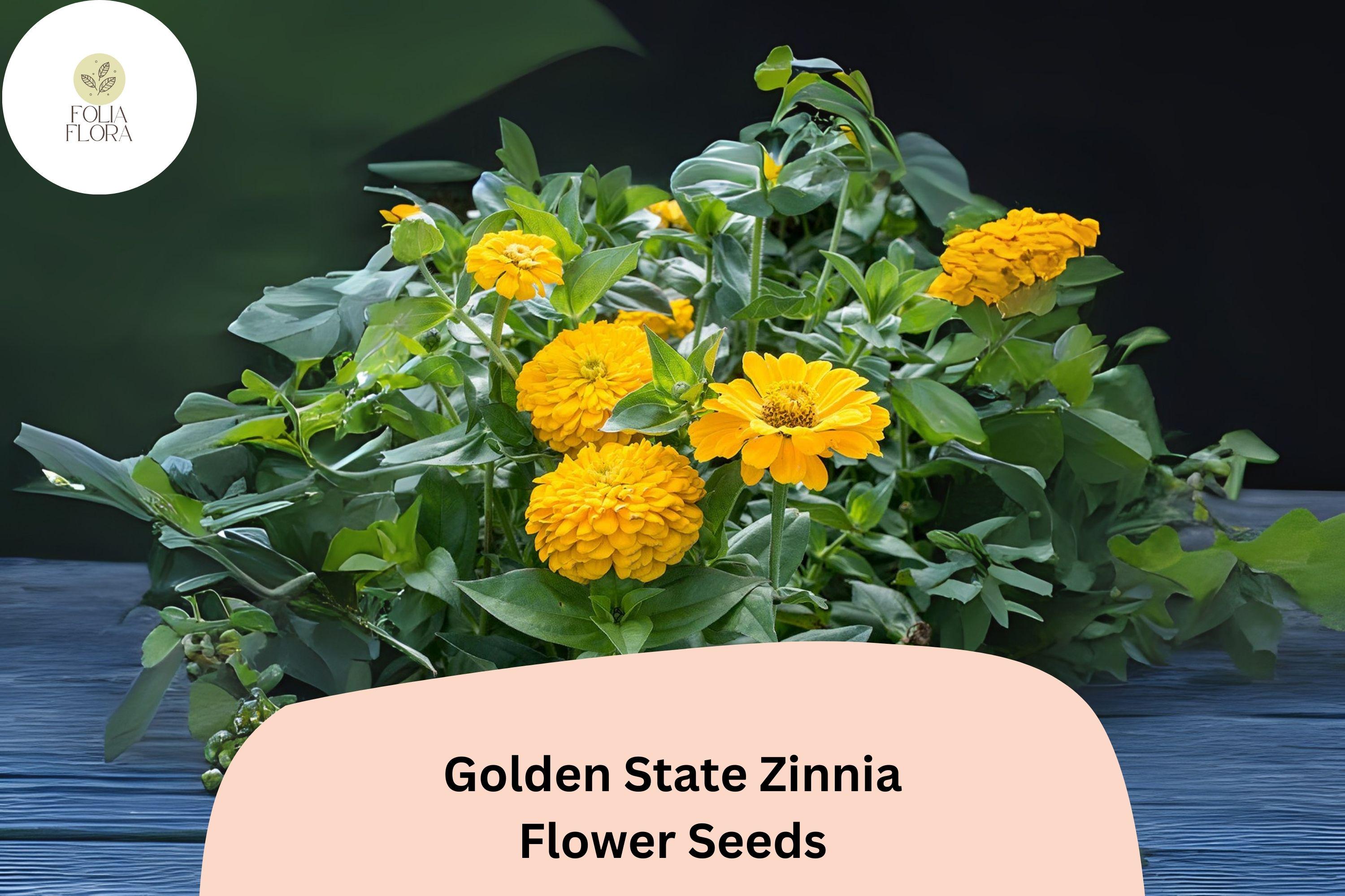 100+ Golden State Zinnia Seeds â€“ Bright Golden Blooms for Pollinator & Summer Flower Gardens