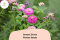 100+ Dream Zinnia Seeds â€“ Soft Pink Blooms for Summer Gardens, Borders & Cut Flowers