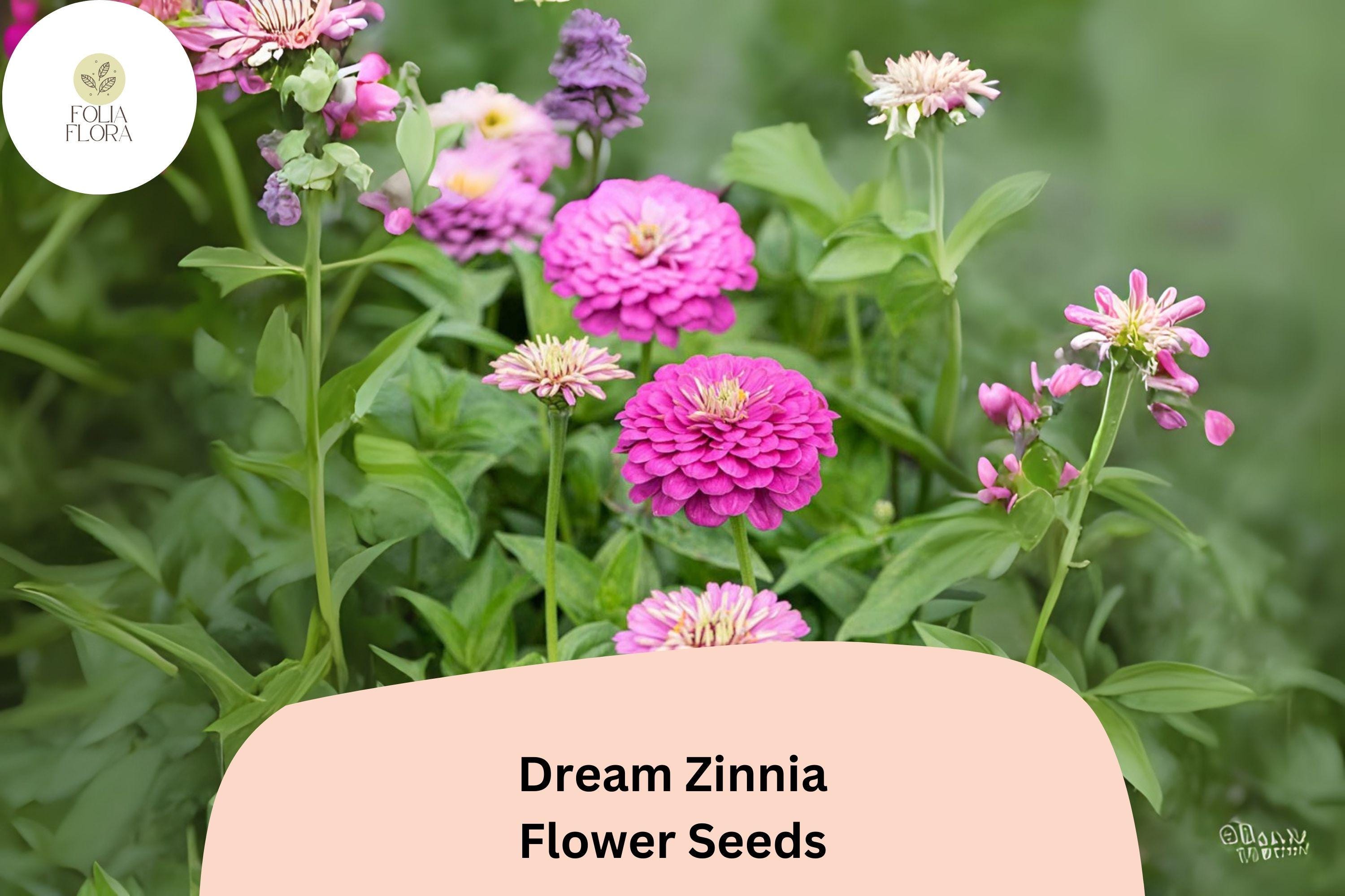 100+ Dream Zinnia Seeds â€“ Soft Pink Blooms for Summer Gardens, Borders & Cut Flowers