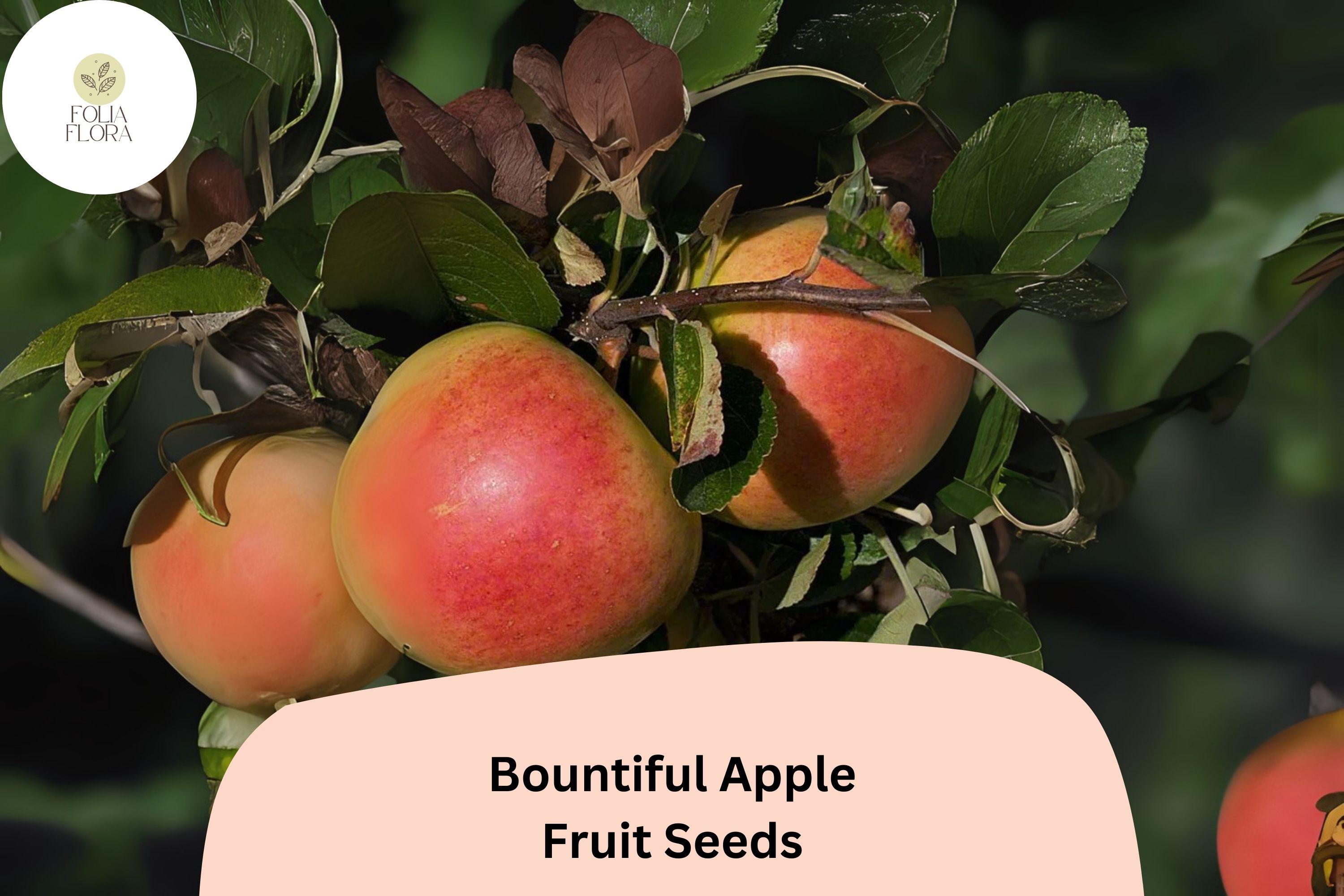 25+ Bountiful Apple Seeds â€“ Malus domestica Heirloom Fruit Tree Seeds for Home Orchards