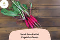 Salad Rose Radish Seeds â€“ 500+ Heirloom Non-GMO Seeds
