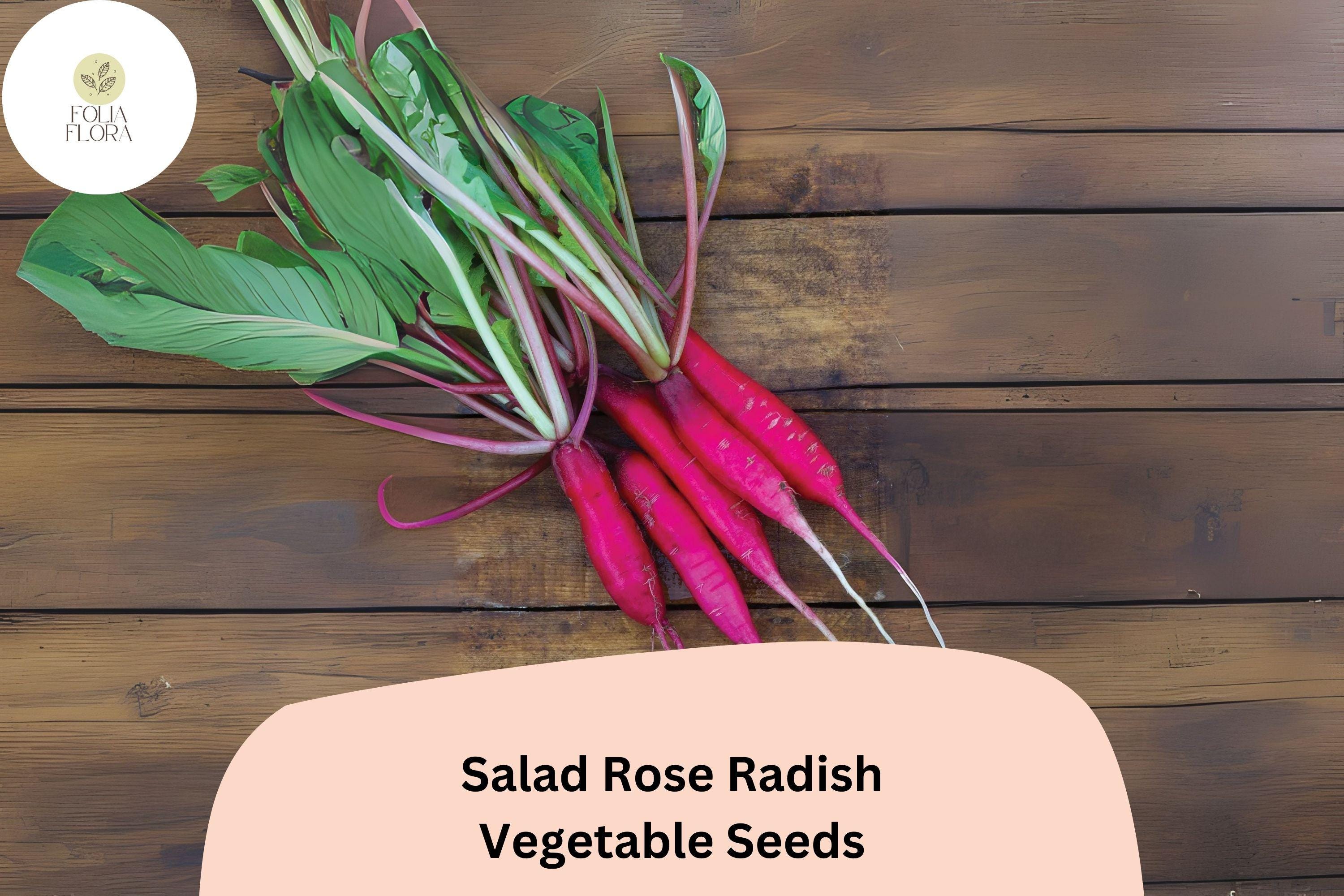 Salad Rose Radish Seeds â€“ 500+ Heirloom Non-GMO Seeds