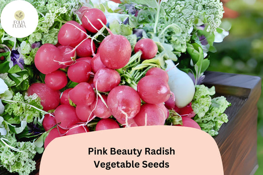 Pink Beauty Radish Seeds â€“ Heirloom, Non-GMO (500+ Seeds)