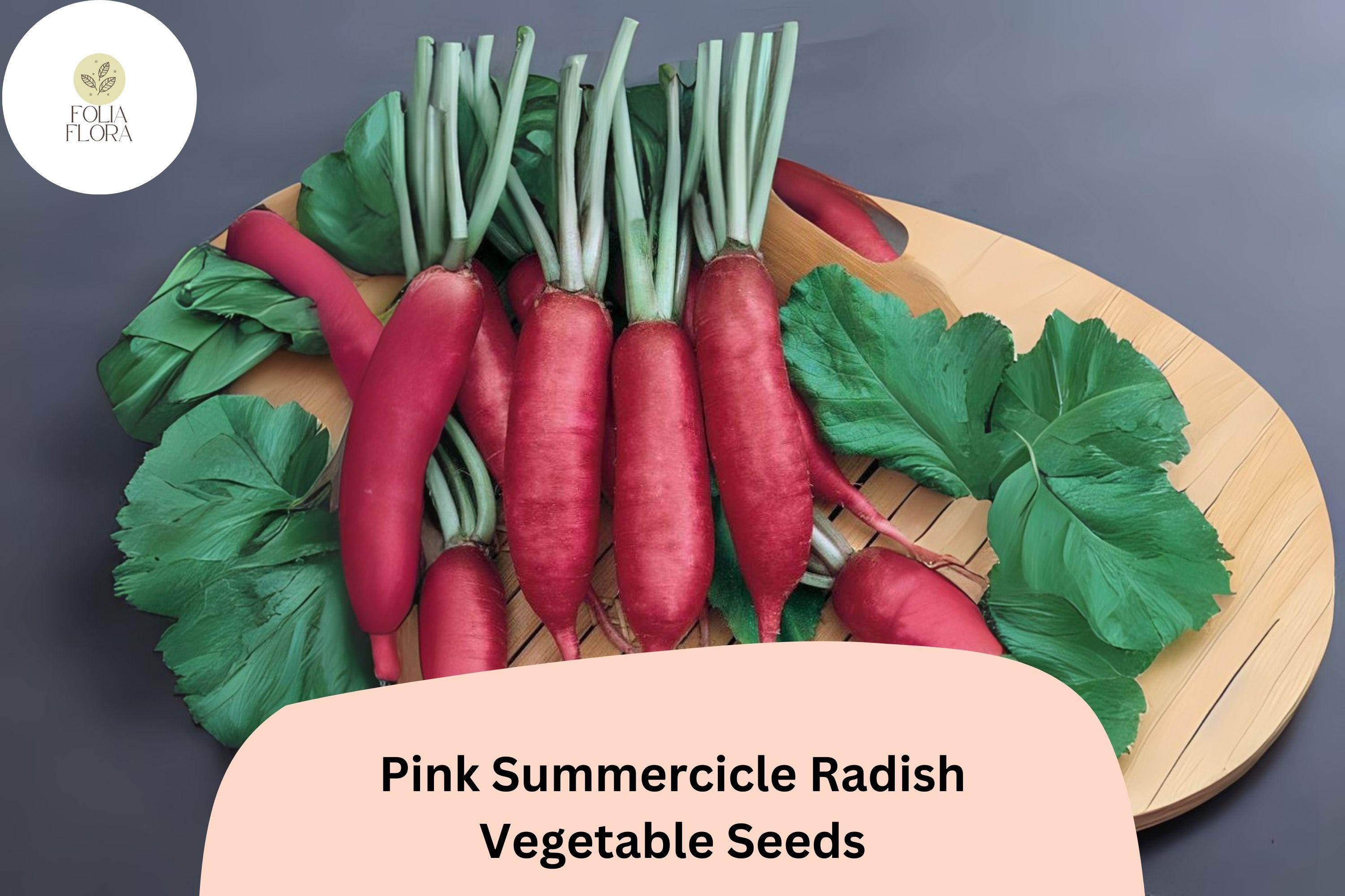 Pink Summercicle Radish Seeds â€“ Heirloom, Non-GMO (500+ Seeds)