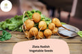 500+ Zlata Radish Seeds â€“ Heirloom Garden Radish, Crisp Edible Roots