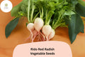 500+ Rido Red Radish Seeds â€“ Heirloom Garden Planting