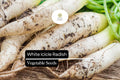 White Icicle Radish Seeds â€“ Heirloom Non-GMO, 500+ Seeds