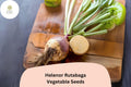 500+ Helenor Rutabaga Seeds â€“ Heirloom Brassica Root Vegetable Seeds for Garden Planting