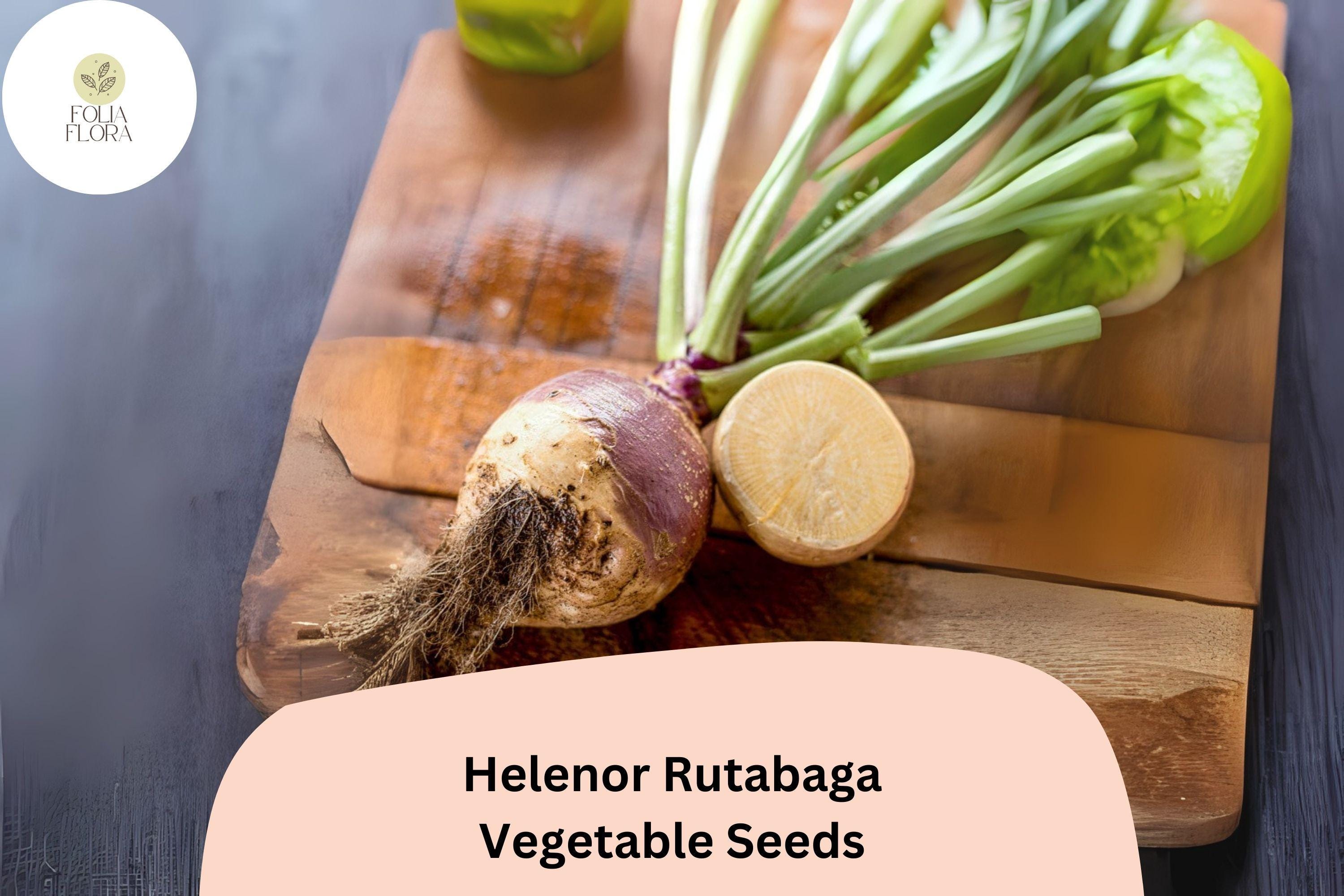 500+ Helenor Rutabaga Seeds â€“ Heirloom Brassica Root Vegetable Seeds for Garden Planting