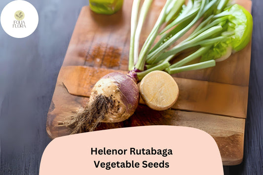500+ Helenor Rutabaga Seeds â€“ Heirloom Brassica Root Vegetable Seeds for Garden Planting