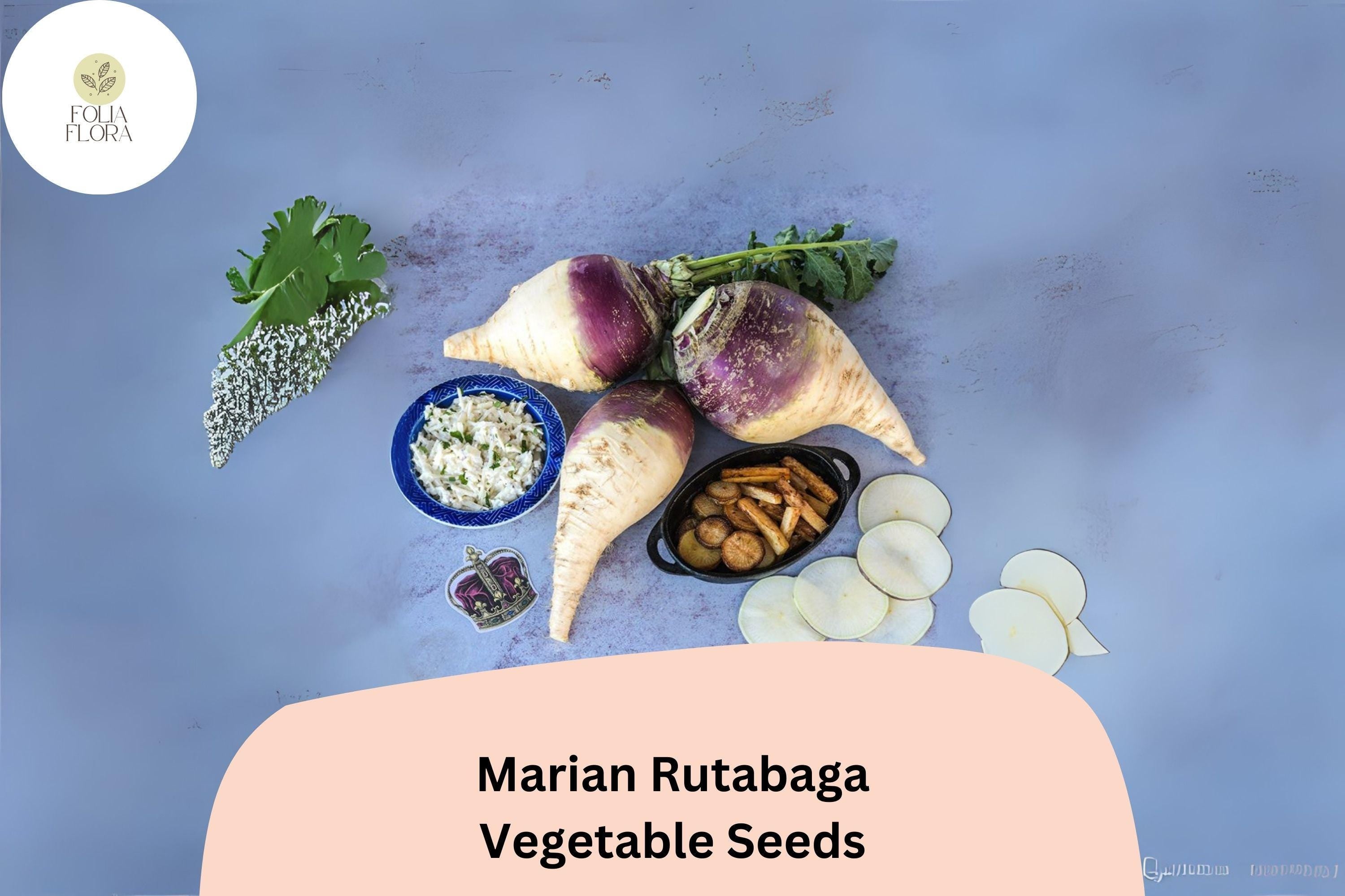 500+ Marian Rutabaga Seeds â€“ Heirloom Root Vegetable Seeds for Garden Planting