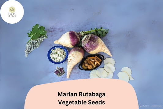 500+ Marian Rutabaga Seeds â€“ Heirloom Root Vegetable Seeds for Garden Planting