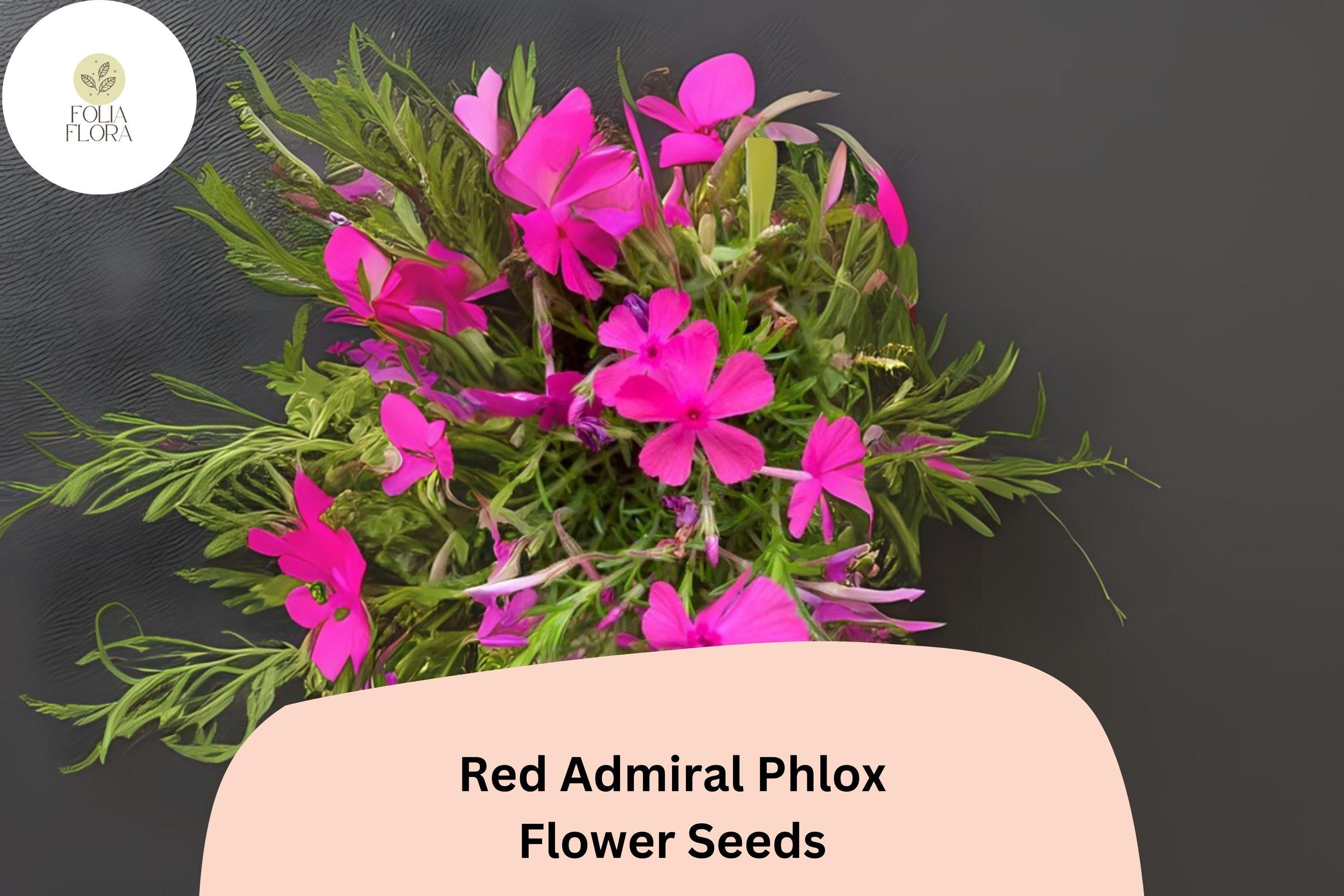 Red Admiral Phlox Seeds â€“ Bright Red Garden Flowers
