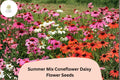 Summer Mix Coneflower Seeds | Echinacea purpurea, Colorful Perennial Flower Mix for Gardens & Pollinators