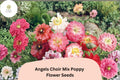 Angels Choir Poppy Seeds | Vibrant Mixed Colors | Papaver Species | Easy to Grow Annual Flowers for Garden & Containers