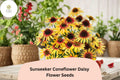 Sunseeker Coneflower Seeds | Echinacea purpurea | Vibrant Yellow Blooms | Perennial Pollinator-Friendly Flower Seeds
