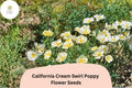 California Cream Swirl Poppy Seeds | White & Yellow Wildflower | Eschscholzia californica | Drought-Tolerant, Pollinator-Friendly, Annual