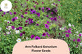 25+ Ann Folkard Geranium Seeds | Hardy Perennial Magenta Cranesbill | Long-Blooming Garden Flower