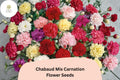 200+ Chabaud Mix Carnation Seeds | Dianthus caryophyllus | Colorful Fragrant Blooms for Garden & Bouquets