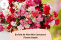 Enfant de Nice Mix Carnation Seeds: Fragrant Cut Flowers, Garden Blooms