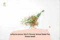 Mrs R. Penney Sweet Pea Seeds | Pastel Cottage Garden Flowers