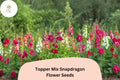 1000+ Topper Mix Snapdragon Seeds | Antirrhinum majus | Tall Colorful Blooms for Borders & Cut Flowers