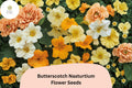 50+ Butterscotch Nasturtium Seeds | Tropaeolum majus | Warm Butterscotch Yellow Blooms | Garden Beds, Borders & Containers