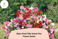 Dwarf Sweet Pea Seeds | Bijou Mix, Pastel Annual Flowers (50+ Seeds)