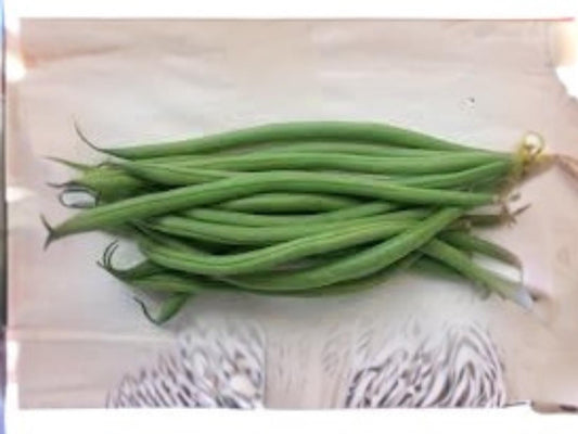Petite Filet French Bean Seeds | Bush Type, Tender Stringless Pods, Gourmet Green Beans, 50 Seeds