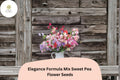 Elegance Formula Mix Sweet Pea Seeds | Lathyrus odoratus Colorful Climbing Vine (50+ Seeds)