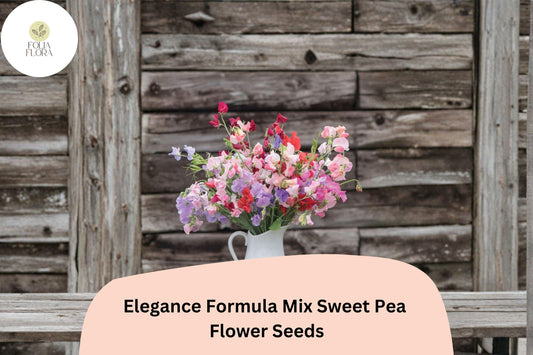 Elegance Formula Mix Sweet Pea Seeds | Lathyrus odoratus Colorful Climbing Vine (50+ Seeds)