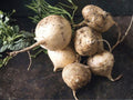 Nam Tao Yai Gourd Seeds | Large Hybrid Bottle Gourd for Culinary & Crafts | Fast-Growing Vine, Edible & Decorative Gourds