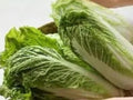 Chinese Cabbage Seeds | Michihli Heading Napa Type | Asian Vegetable, Fermenting & Stir-Fry | Brassica rapa