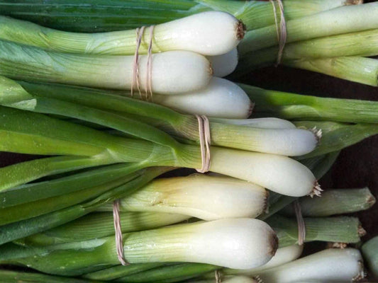 Sweet White Mignonette Seeds – Fragrant Reseda Flower Heirloom, Reseda odorata, Cottage Garden, Pollinator Attractant