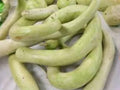 Cucuzzi Gourd Seeds | Italian Edible Long Club Squash | Lagenaria siceraria | 10 Seeds for Traditional Italian Cooking