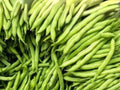 Provider Green Bush Bean Seeds – Early Producing, Cold Tolerant, Stringless Vegetable Seeds for Home Gardens, 25 Seeds