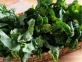 Kailaan Chinese Broccoli Seeds – 300 Open-Pollinated, Fast-Growing Asian Green for Stir-Fries & Salads, Non-GMO, Edible Stems & Leaves