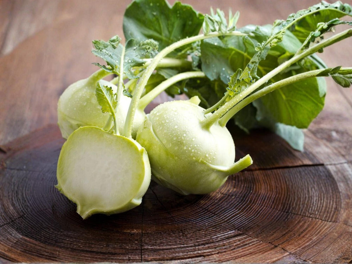 White Vienna Kohlrabi Seeds – Heirloom Vegetable, Easy to Grow, Garden Crop, Fresh Eating, Container Growing, Non-GMO, 100 Seeds