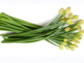 Chinese Flowering Leek Seeds – 100 Non-GMO Garlic Chive Flower Stalks for Asian Vegetable Gardens & Container Growing