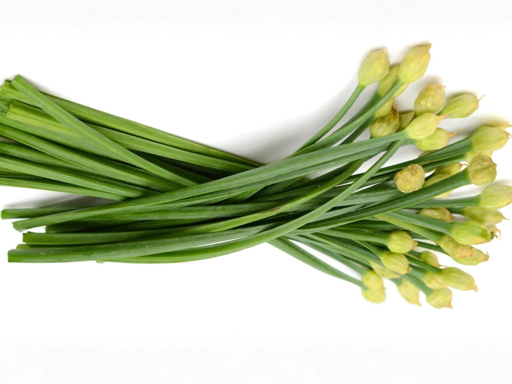Chinese Flowering Leek Seeds – 100 Non-GMO Garlic Chive Flower Stalks for Asian Vegetable Gardens & Container Growing