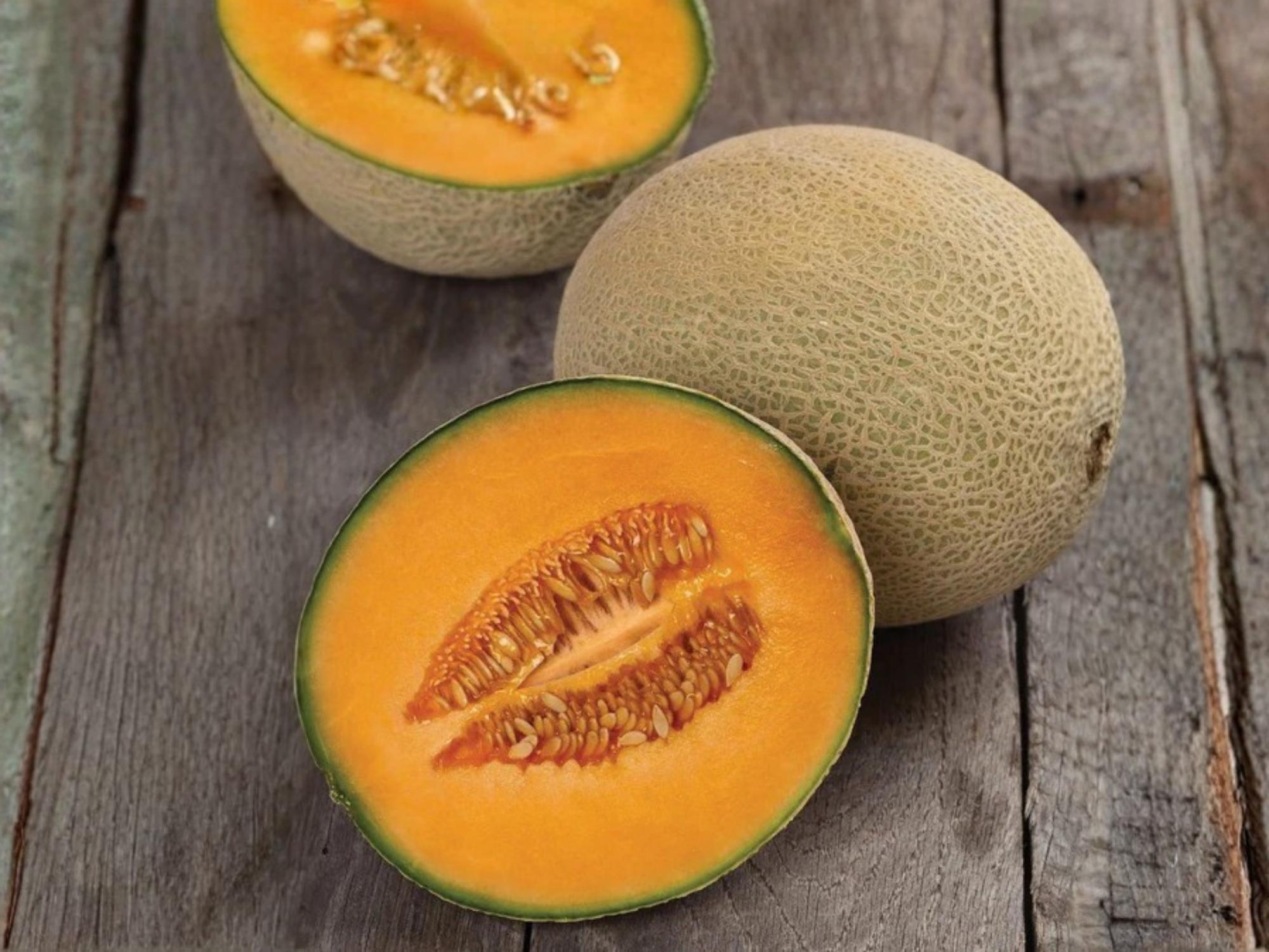 Heirloom Cantaloupe Seeds | Hale’s Best Jumbo | Sweet Orange Flesh | Melon Seed Pack (50 Seeds)