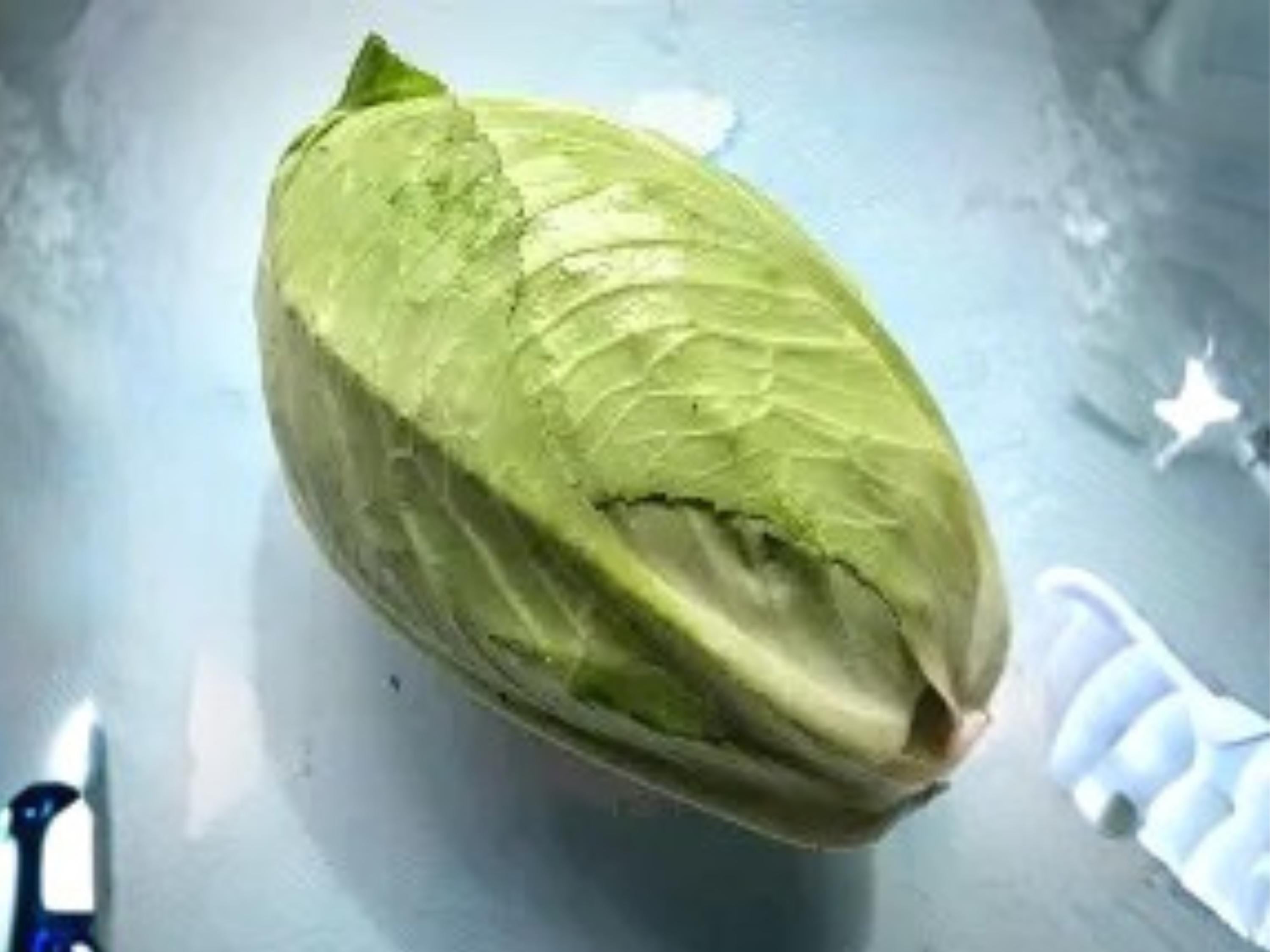 Early Jersey Wakefield Cabbage Seeds – Heirloom, Cold Hardy, Pointed Heads, 500 Seeds for Spring & Fall Gardening
